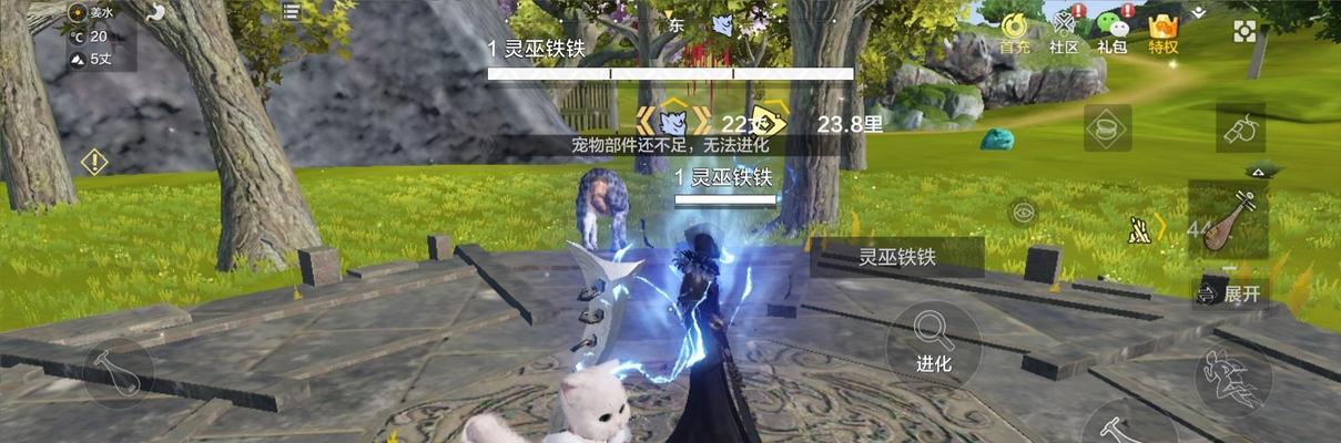 《妄想山海宠物技能解锁方法大全》（打造最强宠物团队，掌握技能解锁技巧）