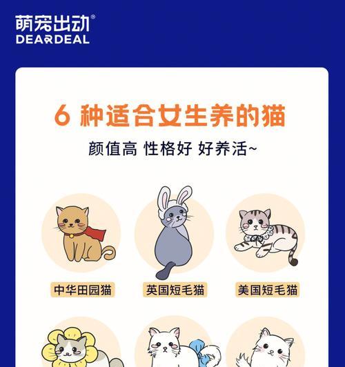 《小森生活》养猫攻略（从选猫到护理）