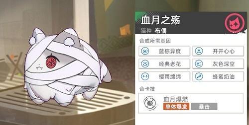 《猫之城猫球养成思路大揭秘》（游戏玩家必看）