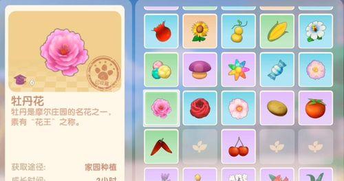 《摩尔庄园手游》太空辣椒获取攻略（魔幻星球、辣椒妙招）