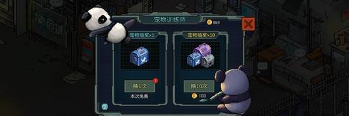 《探索像素危城国际服和国服的区别》（深入了解游戏世界中的两个版本——）