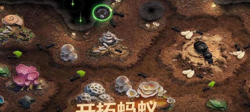 蚁族崛起中如何选择最强兵种？攻略要点是什么？