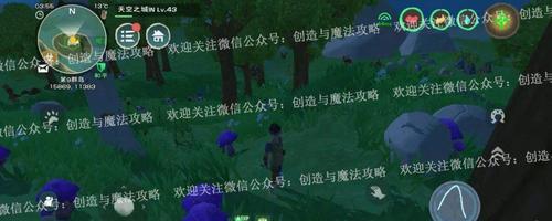 创造与魔法炒瓜子怎么做？炒瓜子食谱有哪些步骤？