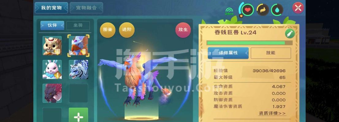 松鼠宠物在创造与魔法中的技能有哪些？属性特点是什么？