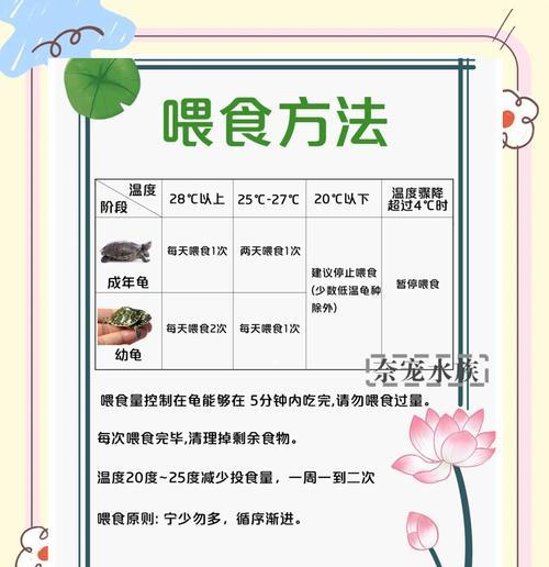在原神中如何正确喂食乌龟饲料？有什么技巧吗？