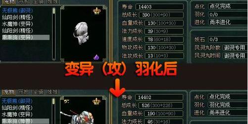 问道变异宠物强化方法是什么？强化效果如何？