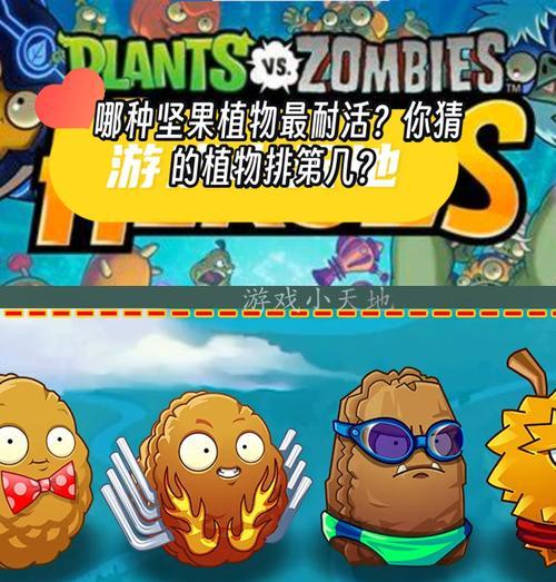 手游酷玩中坚果与柠檬哪个更实用？