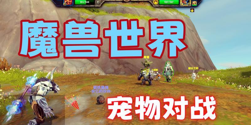 魔兽怎么降低宠物的仇恨？有哪些有效的方法？