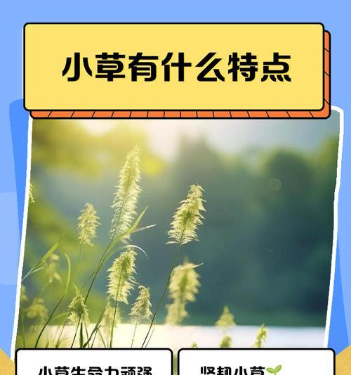 完美世界中的一颗小草有何特殊含义？小草的作用是什么？